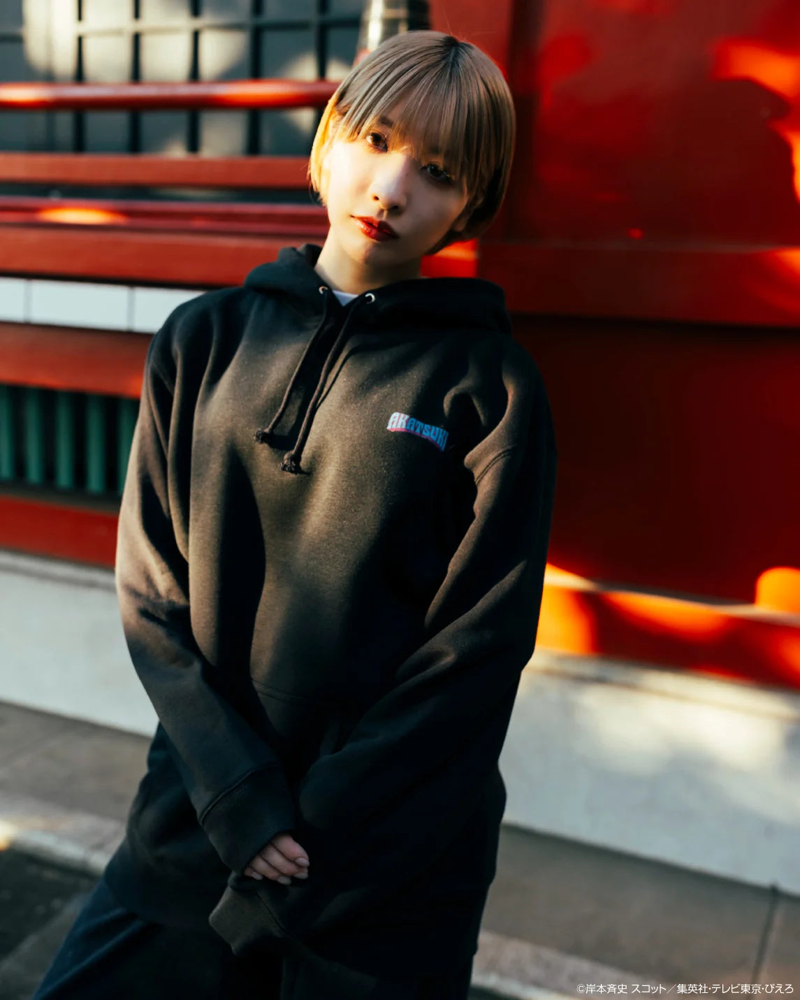 pull over hoodie(comics)AKATSUKI